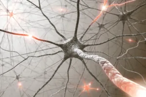 Close-up illustration of neurons showing electrical impulses traveling along nerve pathways.